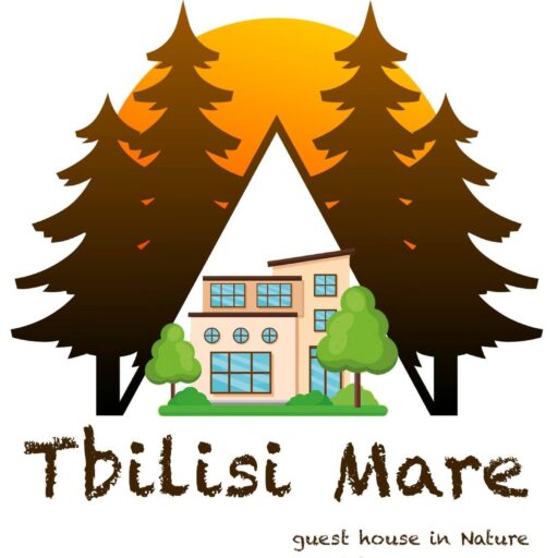 Experience the charm of Tbilisi at Mare Guest House! Discover a delightful stay in the heart of Tbilisi, where warm hospitality meets modern comforts. Book your unforgettable getaway today!